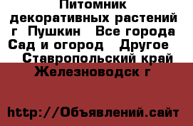 Питомник декоративных растений г. Пушкин - Все города Сад и огород » Другое   . Ставропольский край,Железноводск г.
